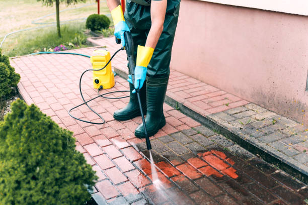 Best Animal Enclosure Cleaning  in Baden, PA